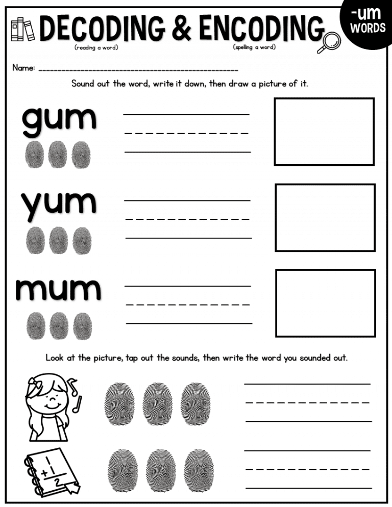 Decoding & Encoding Words: Reading and Spelling - Naomi O'Brien - Read ...