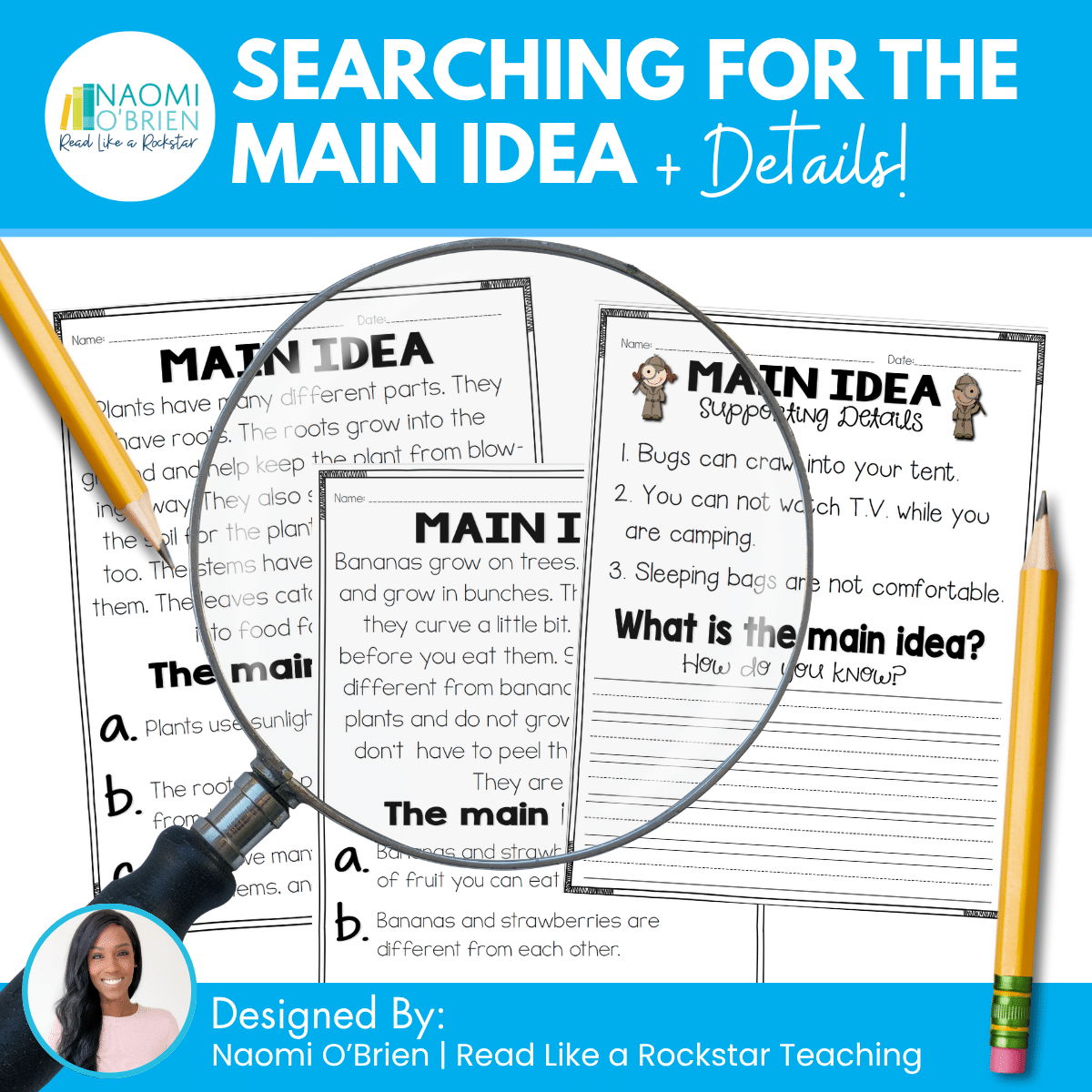 Searching for Main Idea and Details resource